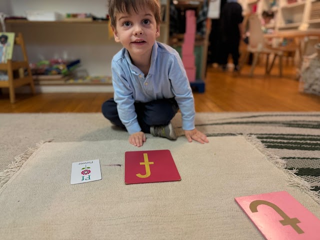 Alive Montessori Preschool Inc.