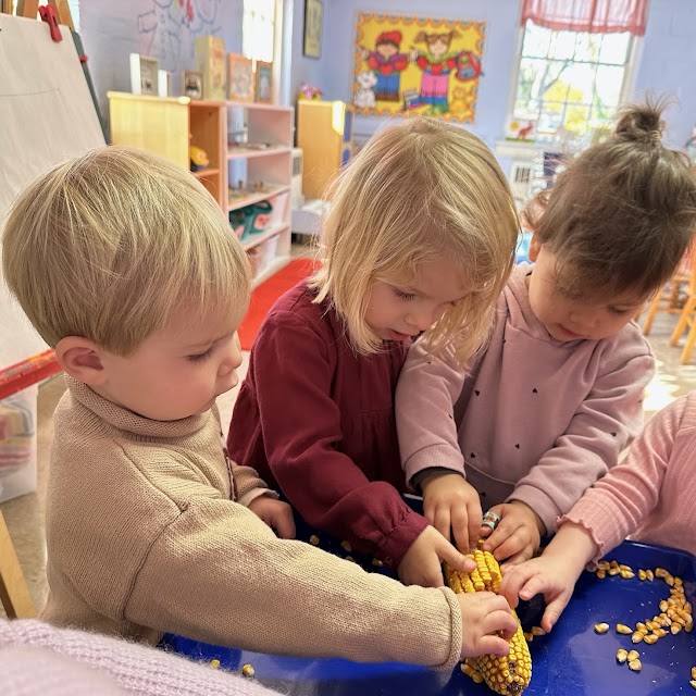 Spring Valley Montessori Academy