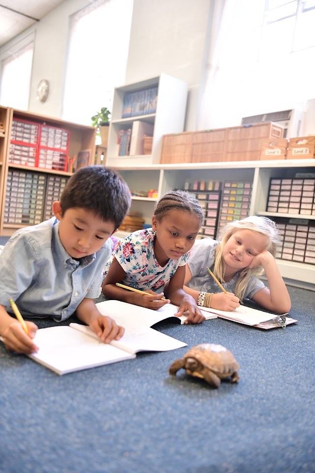 Oneness-Family Montessori School