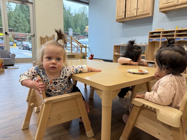 Brightonview Montessori