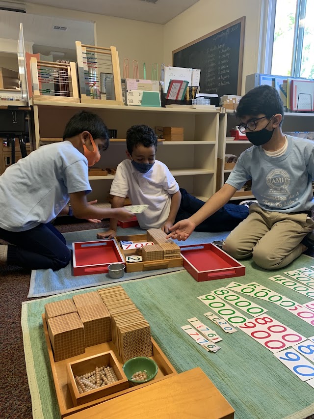 Academy Montessori Internationale