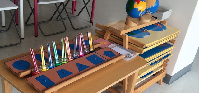 The Montessori School of Hamilton