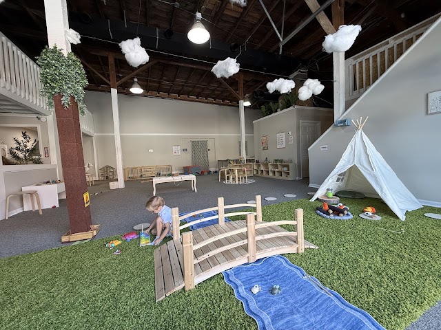 The Meadow Montessori Play Studio