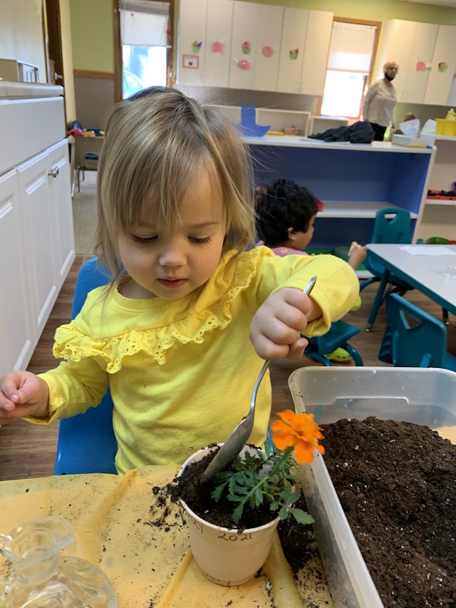 Great Start Montessori School