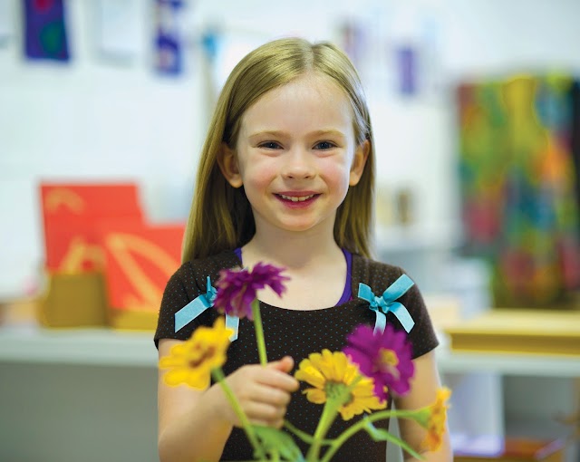 Dobson Montessori School - Mesa Campus