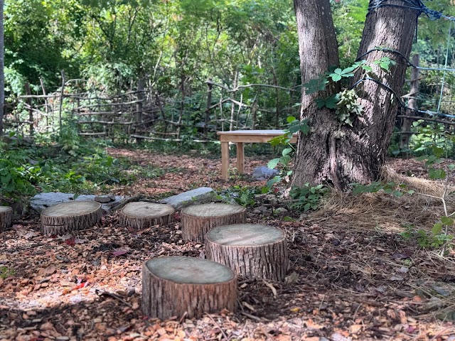 Fledglings Montessori School