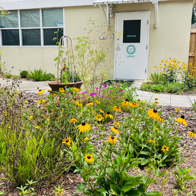 Montessori School of Pensacola