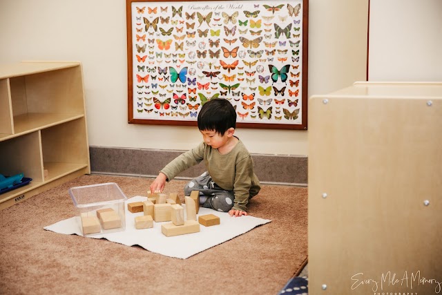 Highland Childrens House