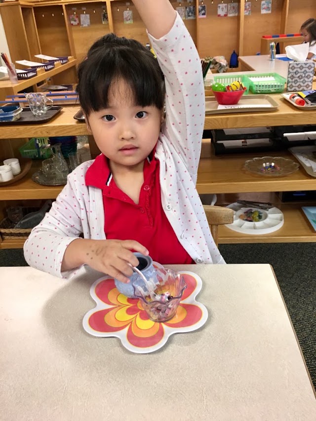 Montessori Learning Center