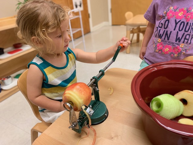 Montessori School of Raleigh