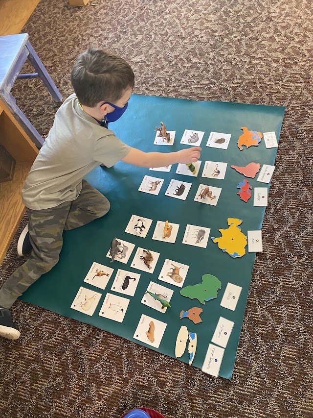 Auburn Montessori School