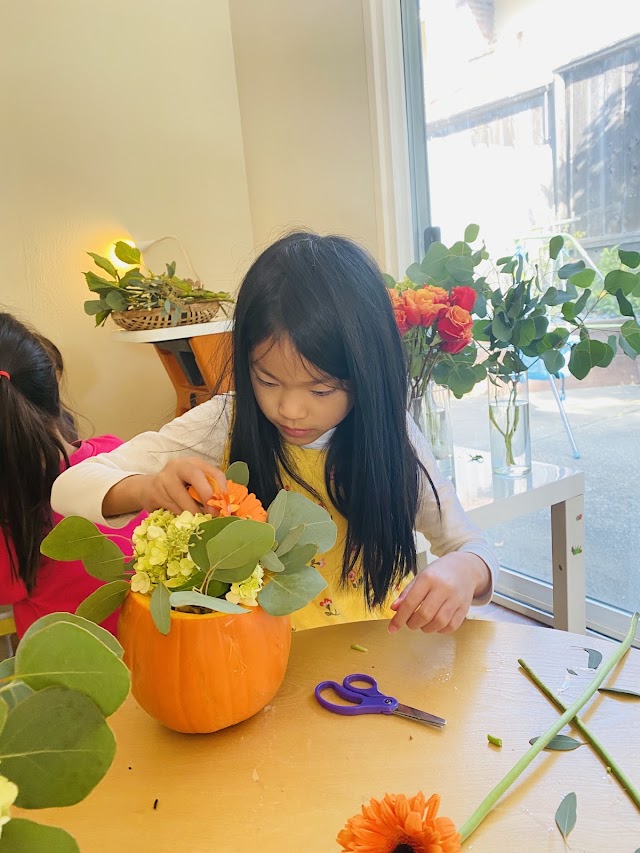 Linhai Bilingual Montessori School