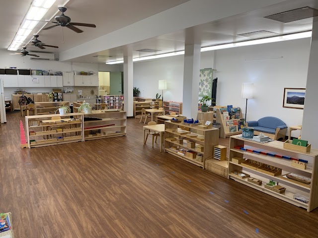 L. Robert Allen Montessori Lab School