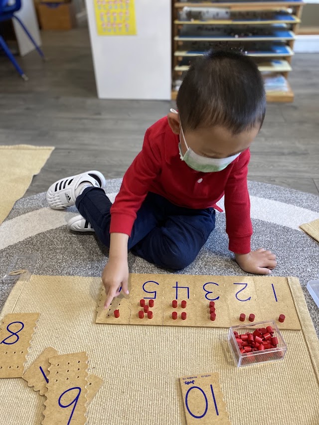 Montessori Academy