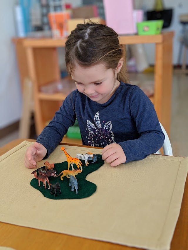 Montessori Academy of Virginia