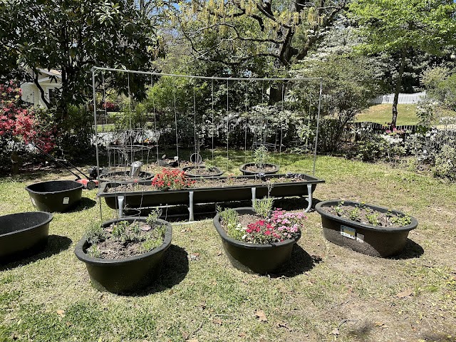 Children's House Montessori