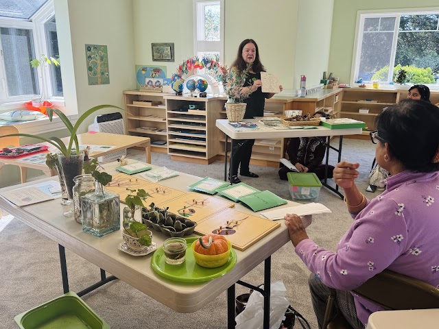 Chestnut Montessori School Teacher Education