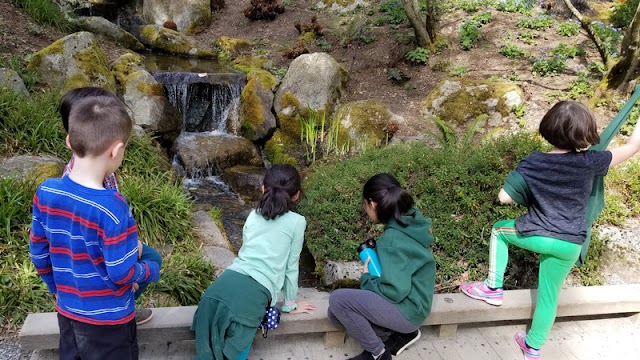 Arbor Montessori School