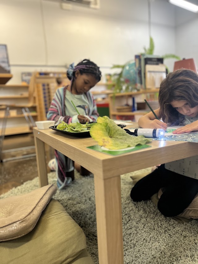 Organic Beginnings Montessori School