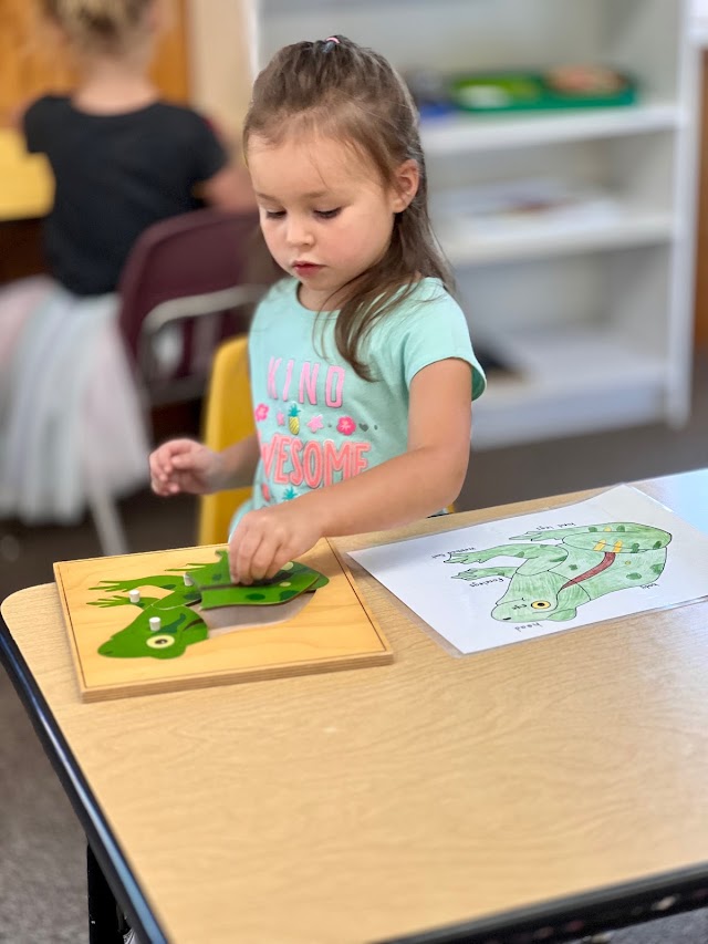 Rose Hill Montessori