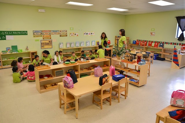 Montessori Ivy League Academy