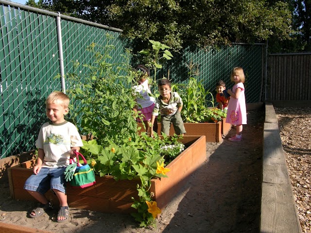 Sunshine Montessori Preschool