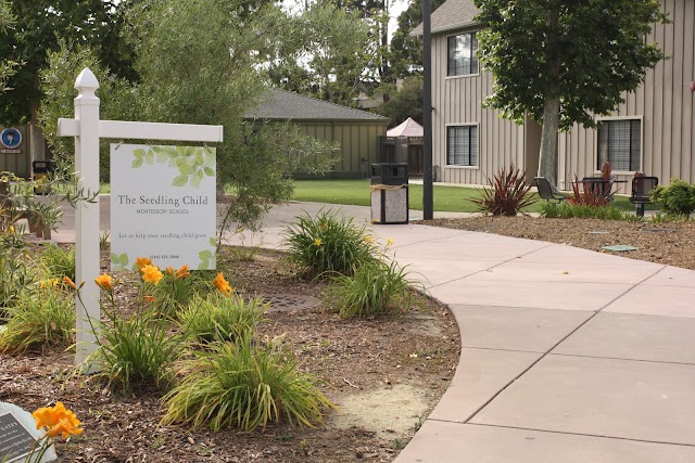 The Seedling Child Montessori School