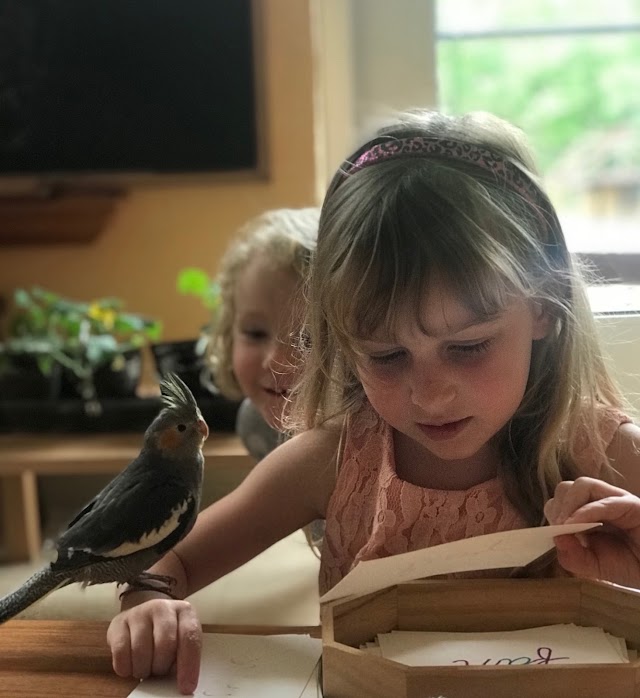 Montessori East