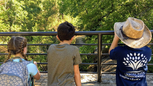 ArborCreek Montessori School