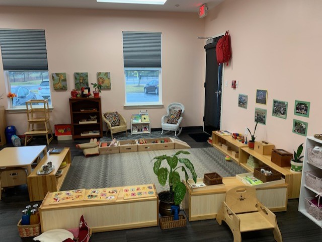 The Curious Minds Montessori School
