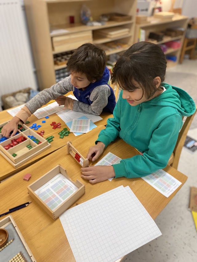 Allium Montessori School