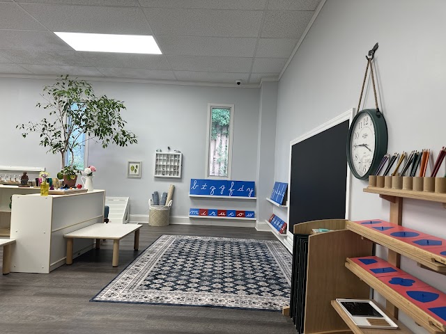 Blossom Peak Montessori School - Rock Hill