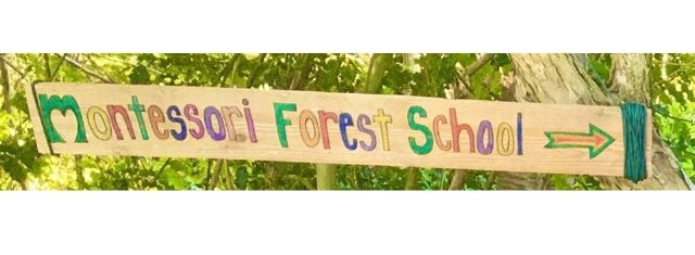 Montessori Forest School