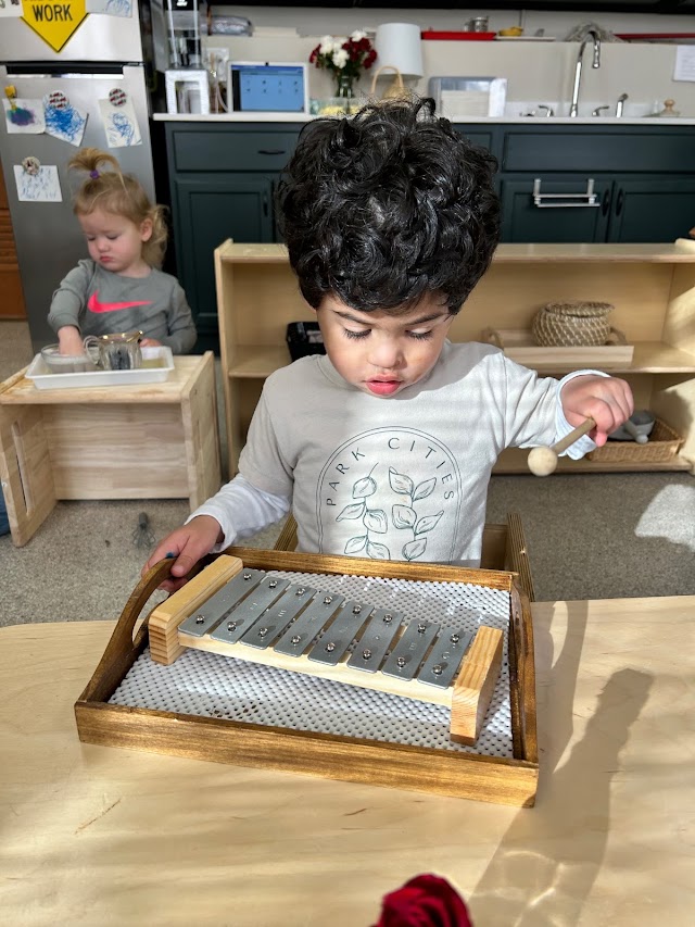 Park Cities Montessori