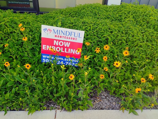 Mindful Montessori- PCC