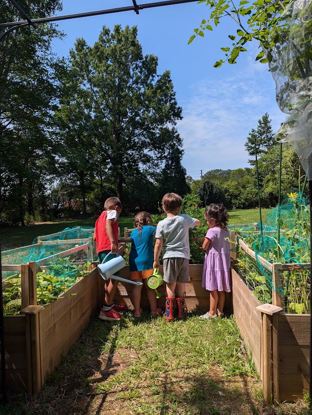 The Garden Progressive Montessori