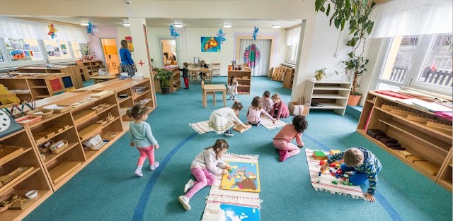 International Montessori School of Prague ICO: 27233464