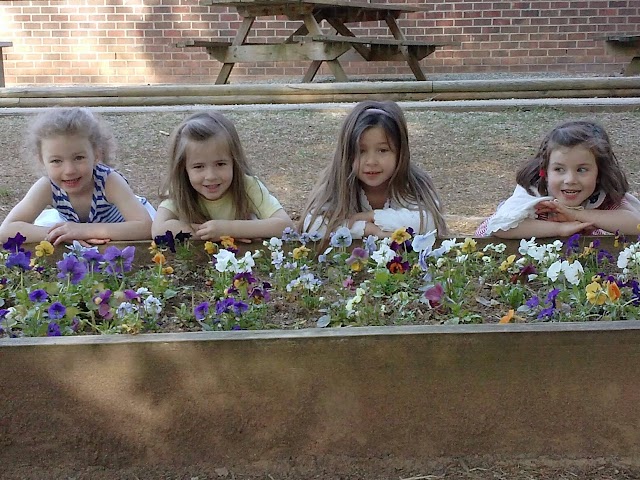 Montessori Farm School