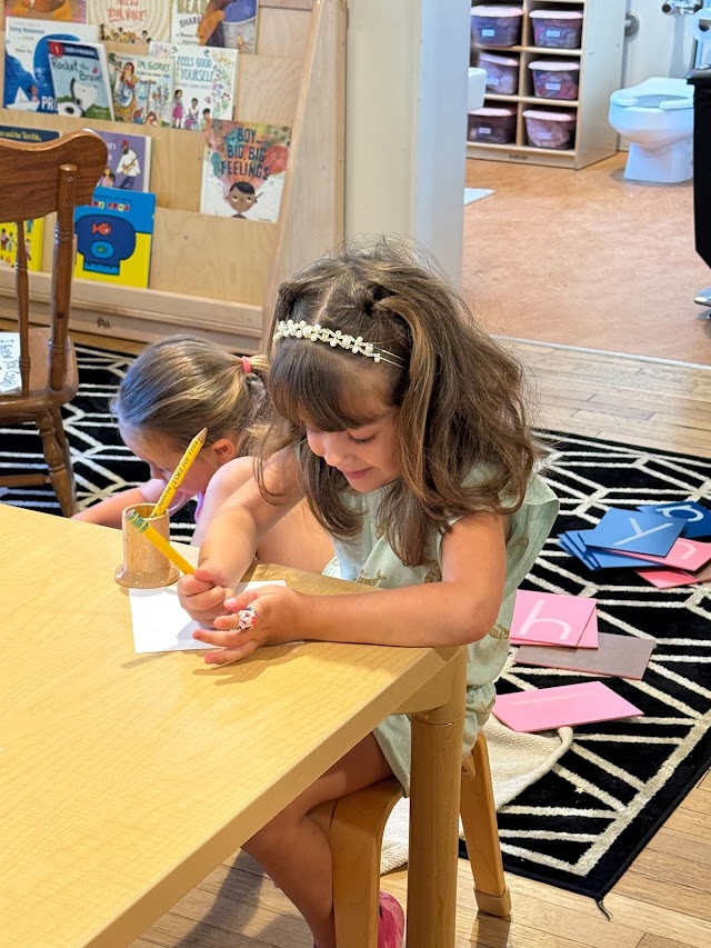 Montessori Community School