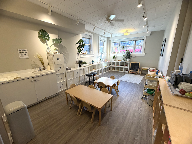Glebe Montessori School