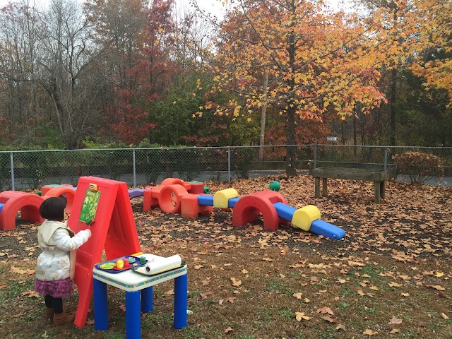 American Montessori School