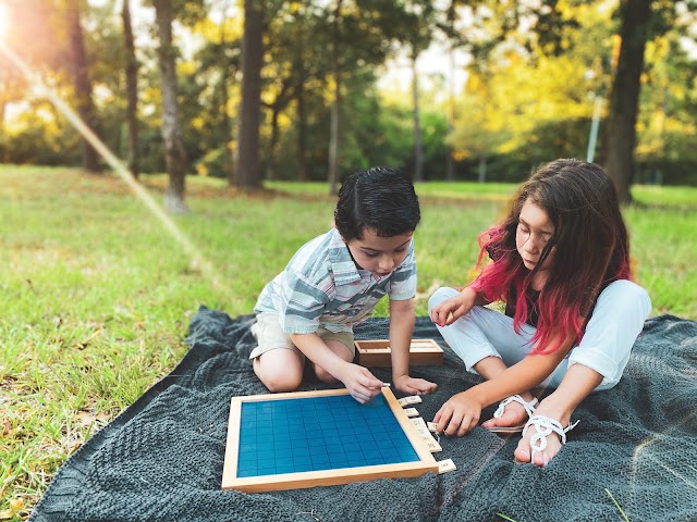 The Little Montessori School