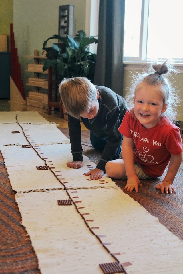 Treehouse Montessori School