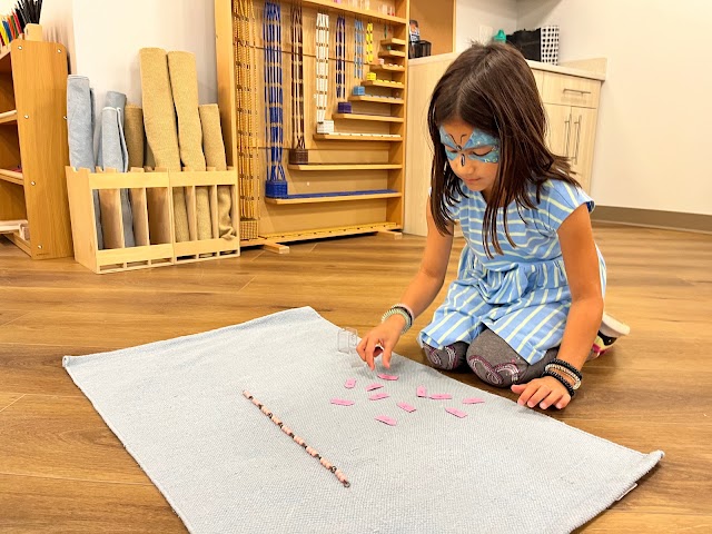 Growing Seeds Montessori School