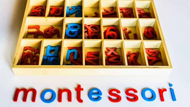Montessori School Of Madison