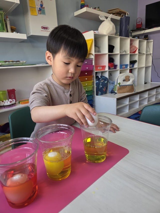 Little Bunnies Montessori School
