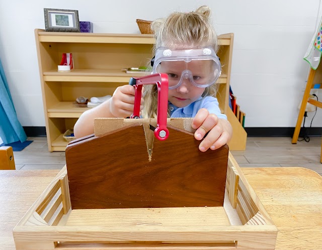 Montessori Academy of Carrollwood