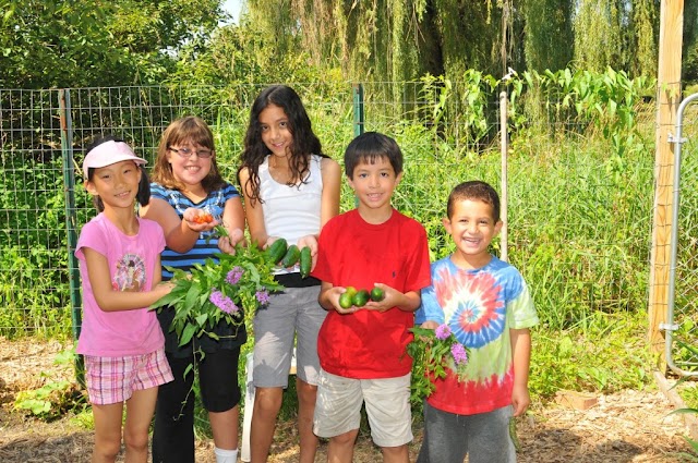 Montessori Academy of North Hoffman-Freeman