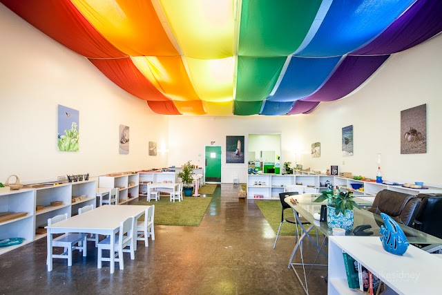 Little Monk Seal Montessori