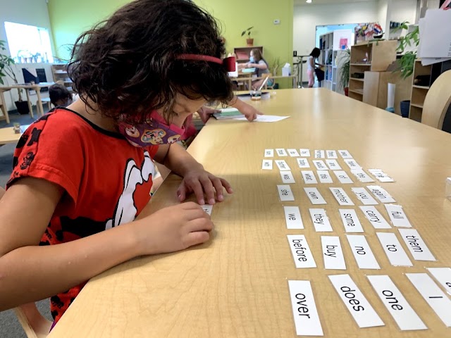 Montessori Lab School at Grand Center